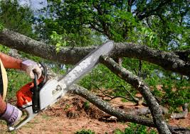 Best Soil Testing and Treatment  in Marthasville, MO